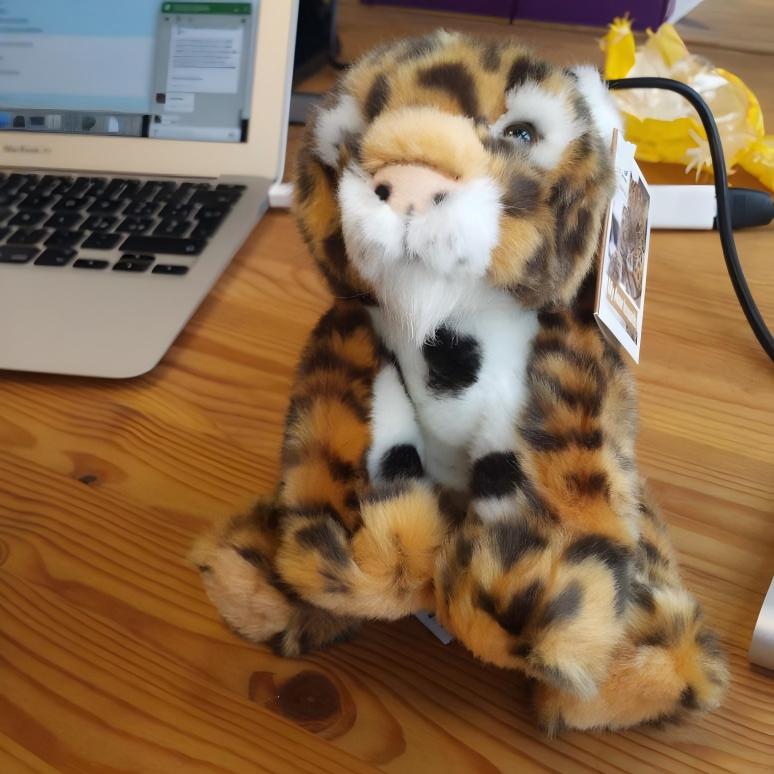 Token logo for Amur Leopard
