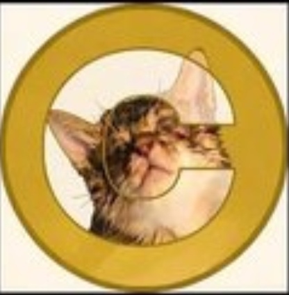 Token logo for Catecoin