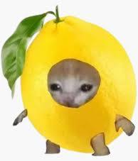 Token logo for Lemoncat