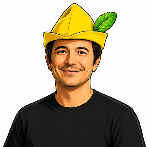 Token logo for Lemon Vlad